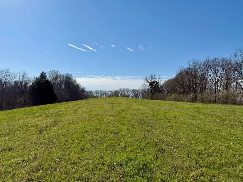 Limestone Homesite & Hardwood
