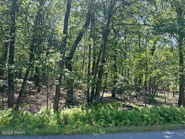 Vacant Land in Milford - Milford, Pennsylvania, 18337
