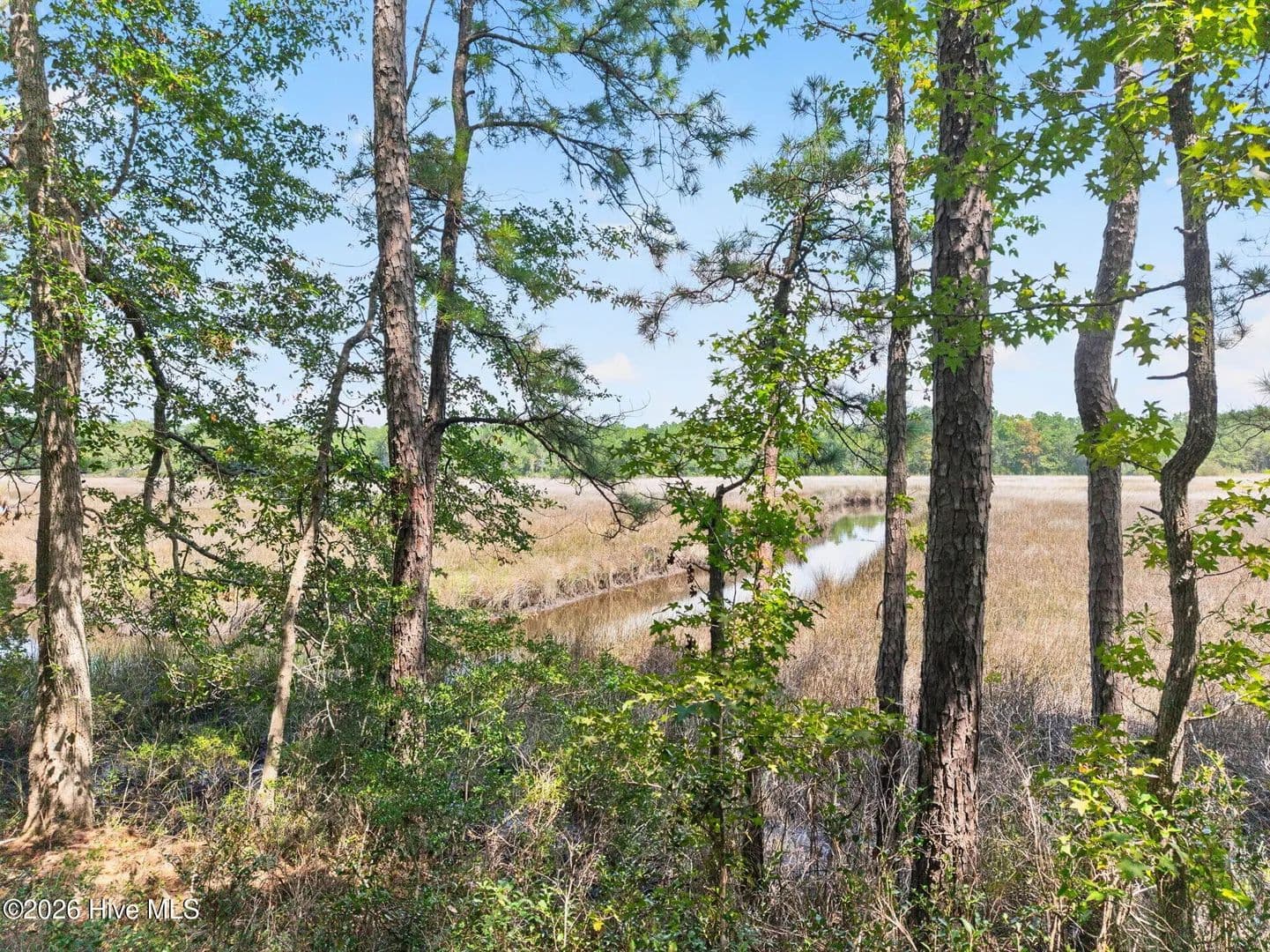 0.53 Acres of Land for Sale in Bolivia, NC - Bolivia, North Carolina, 28422