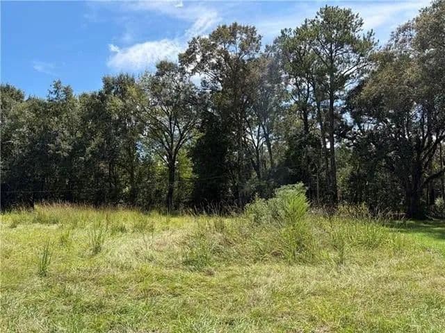 Lots & Land-Other in Ponchatoula - Ponchatoula, Louisiana, 70454