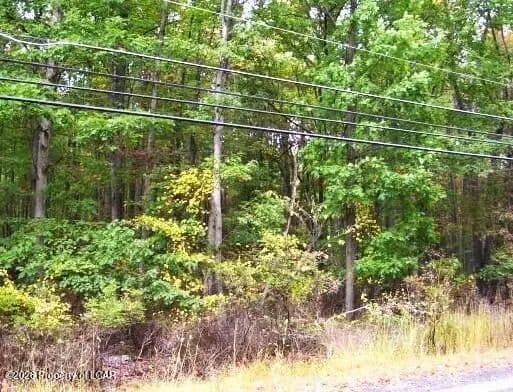 Lots & Land-Other in Hazle Twp - Pennsylvania, 18202