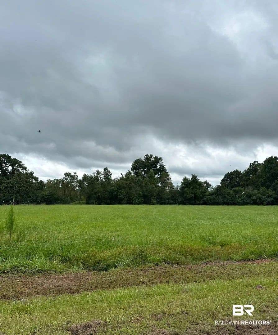 Lots & Land-Other in Stapleton - Stapleton, Alabama, 36578
