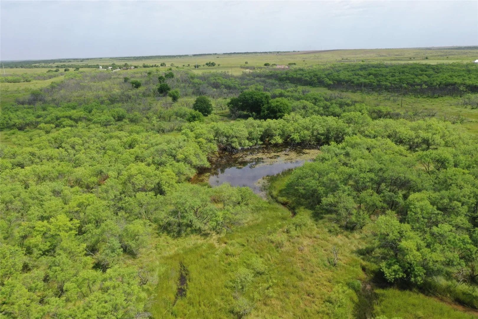 Lots & Land-Other in Bellevue - Bellevue, Texas, 76228
