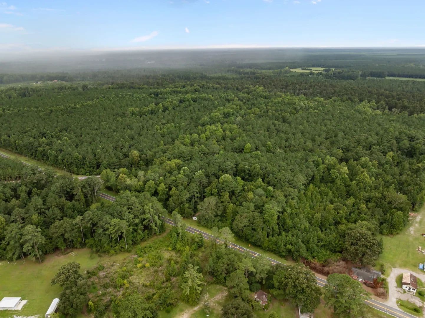 153-Acre Timberland for Sale in Edward, NC - Edward, North Carolina, 27821