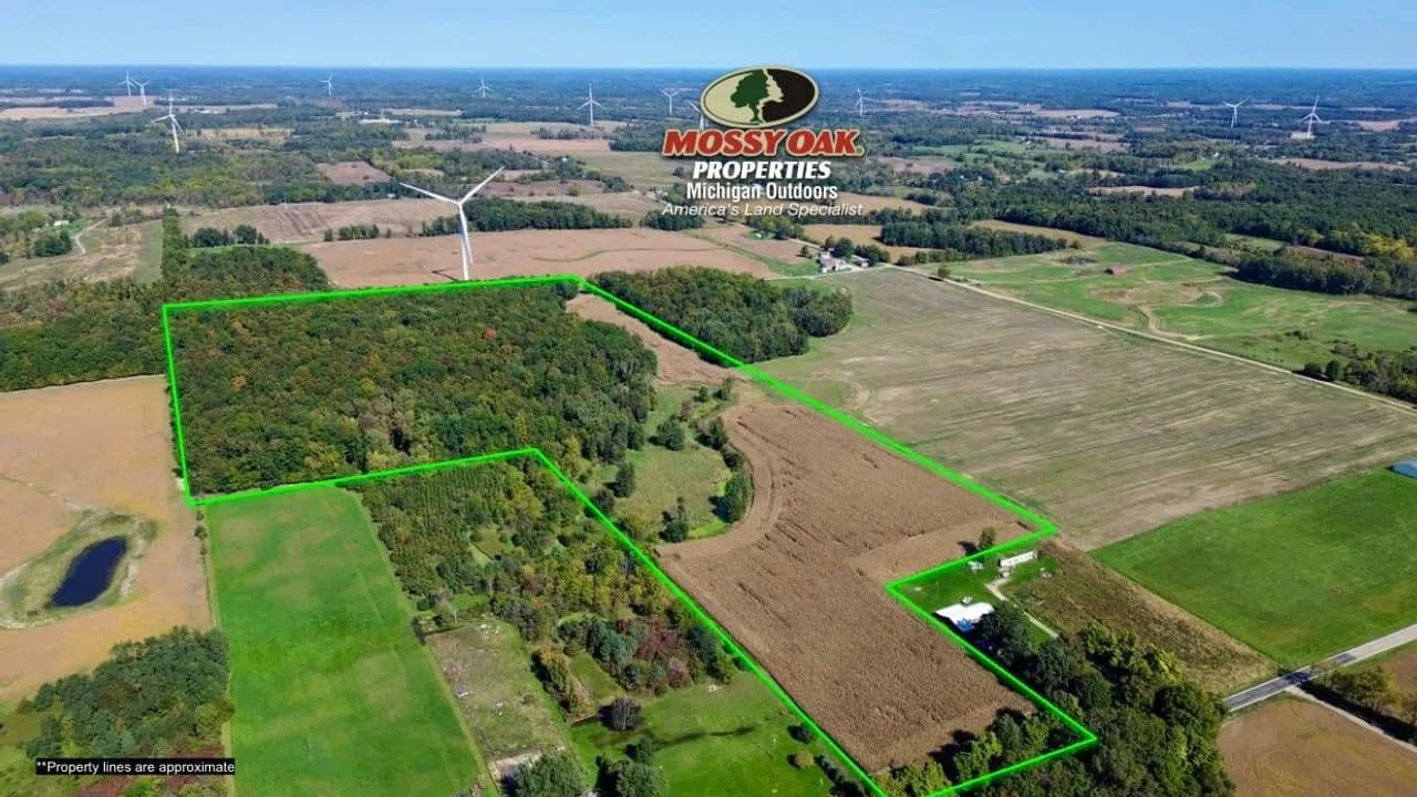 56 +/- Acres / Hillsdale County, MI / Pittsford, MI / Hunting, Tillable & Income Property / Land For Sale - Pittsford, Michigan, 49271
