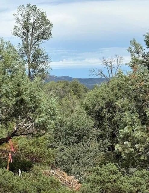 Lots & Land-Other in Payson - Payson, Arizona, 85541