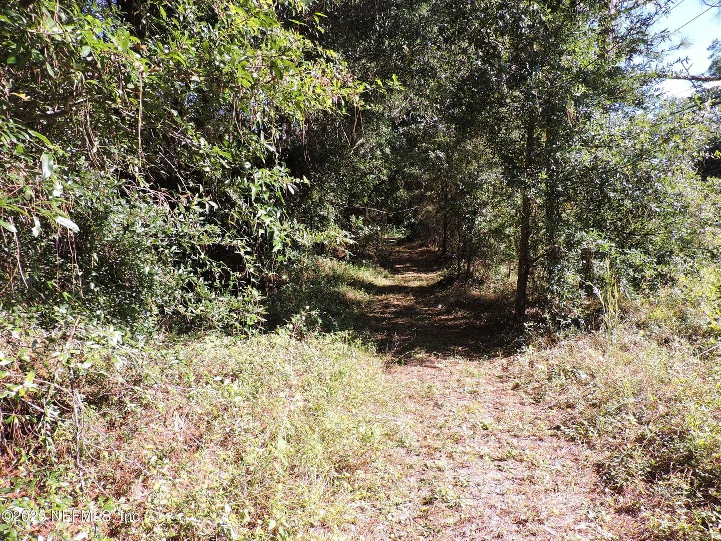 Vacant Land in Jacksonville - land for sale