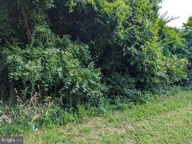 Vacant Land in Nanticoke - Nanticoke, Maryland, 21840