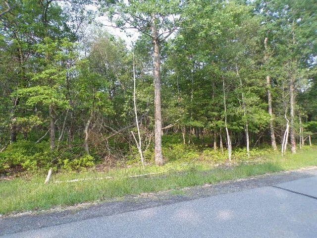 Property from Lot 4403 Claremont Drive - KW