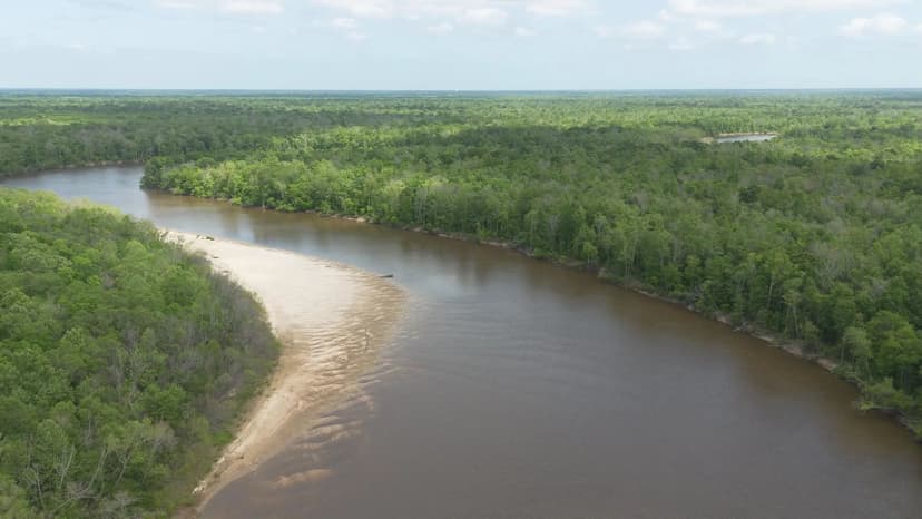 385 Acres Pearl River Frontage Louisiana