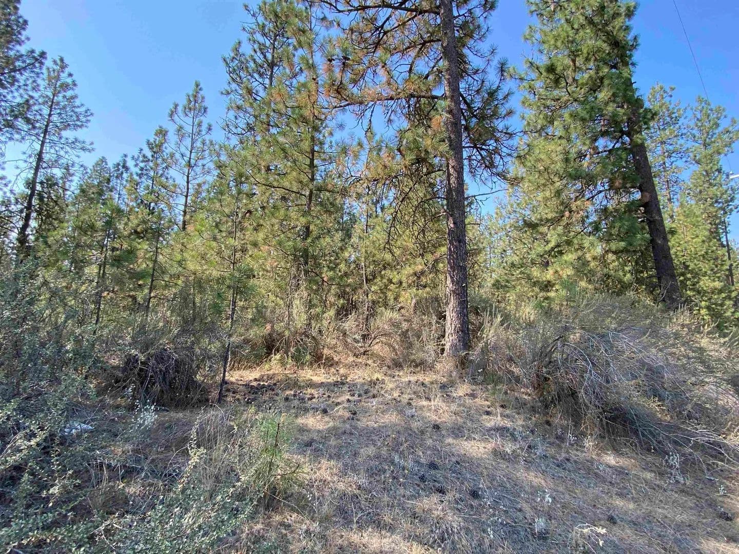 Vacant Land in Nine Mile Falls - Nine Mile Falls, Washington, 99026