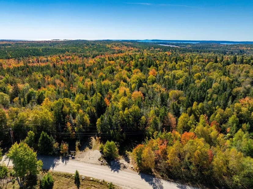 Vacant Land in Roque Bluffs