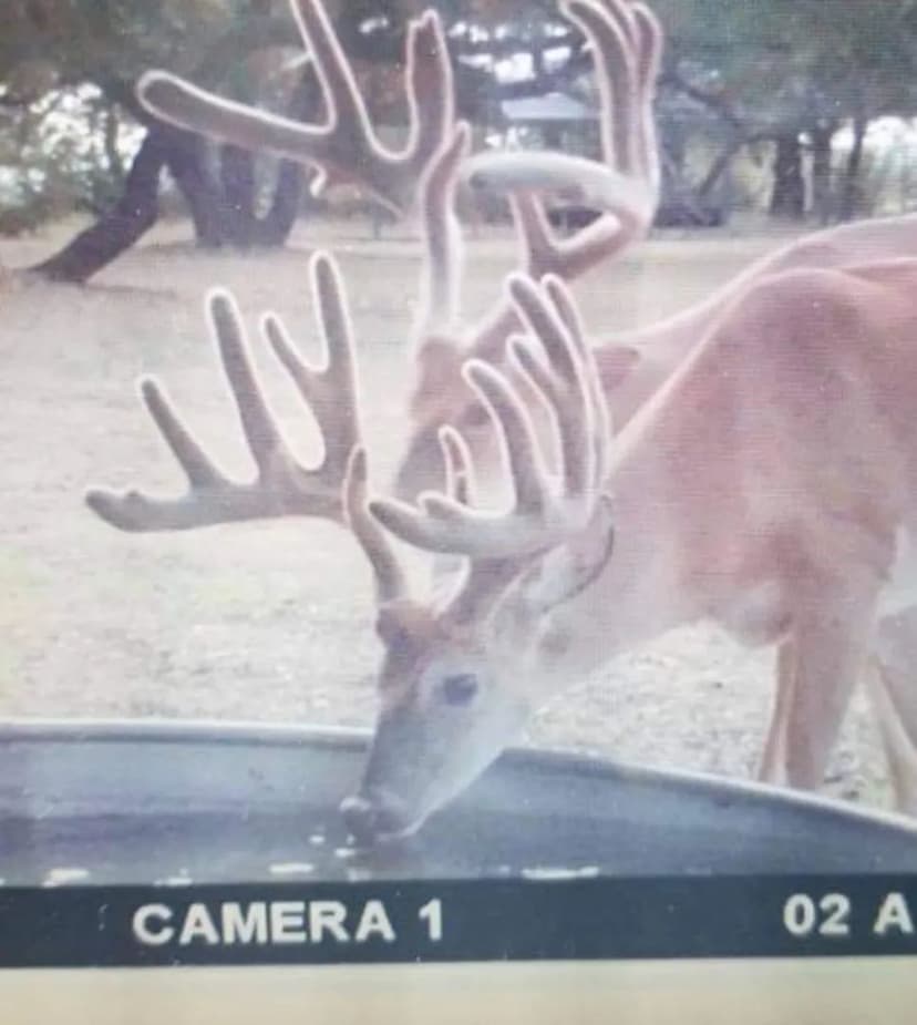 Property from 400 Indian Hills Road - KW