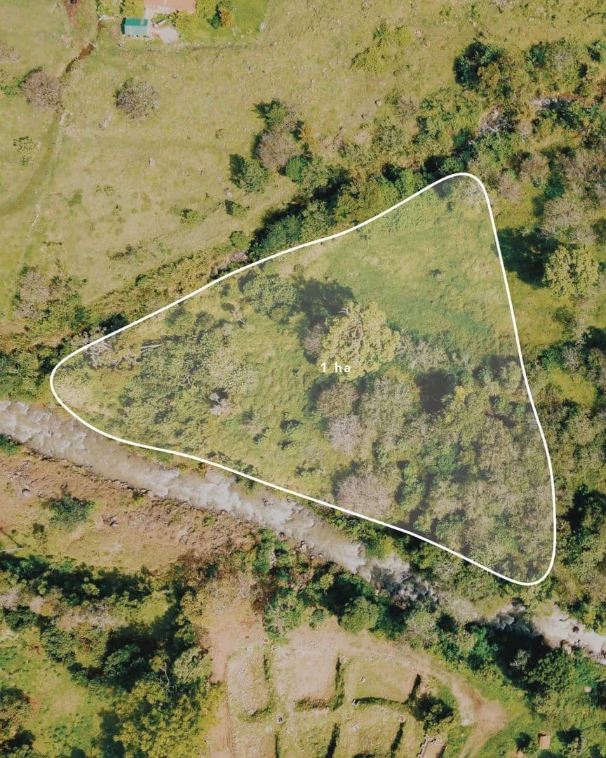 Vacant Land in Dota - land for sale