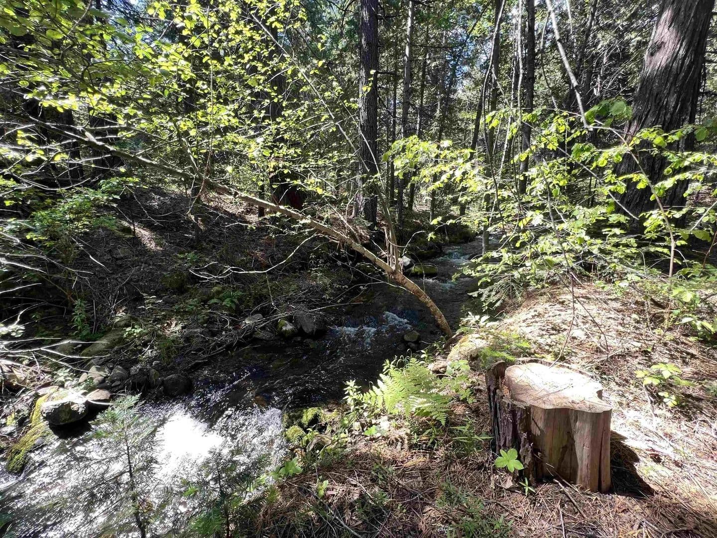 Lots & Land-Other in Weed - Weed, California, 96094