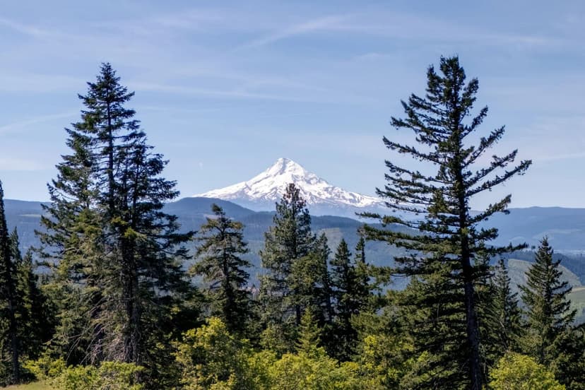 Buildable Acreage Minutes From Hood River