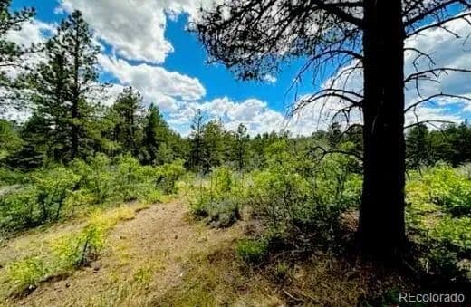 1.1 Acres of Land for Sale in Pagosa Springs, CO - Pagosa Springs, Colorado, 81147