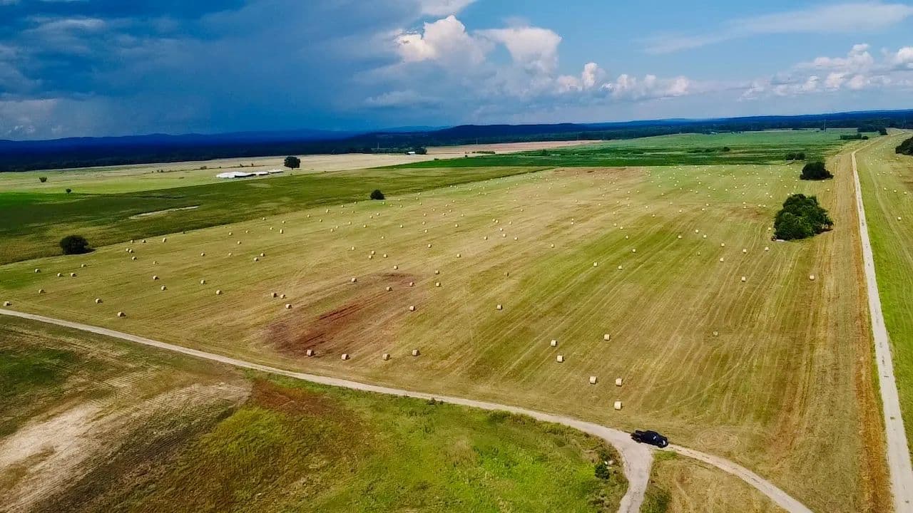Land -Agricultural (Not Zoned) in Hartman - Hartman, Arkansas, 72840