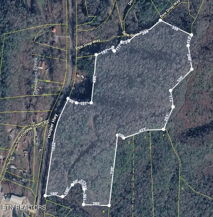 33.5 Acres of Land for Sale in Cosby, TN - Cosby, Tennessee, 37722