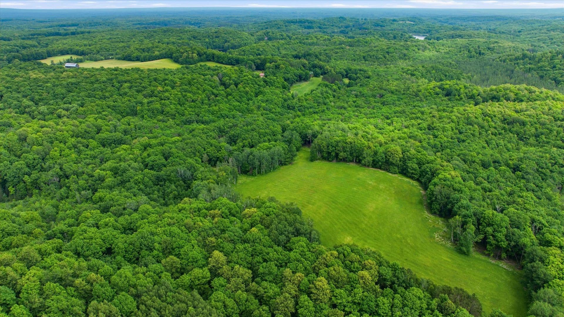 Vacant Land in Medford - Medford, Wisconsin, 54451