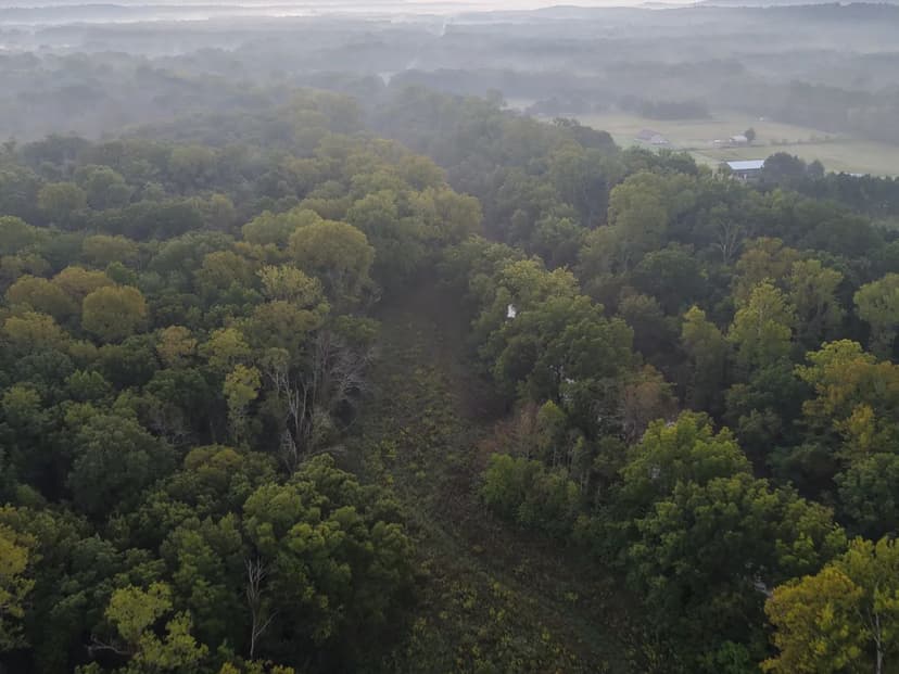 36.6 Acres in Faulkner County, AR 