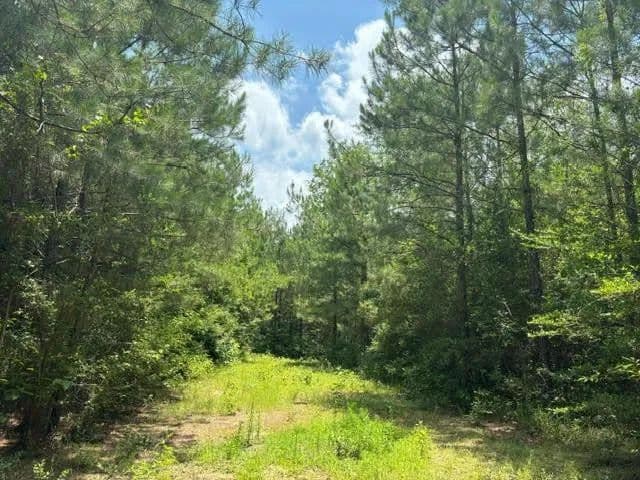 103 Acres of Land for Sale in Louisiana - Louisiana, 70444