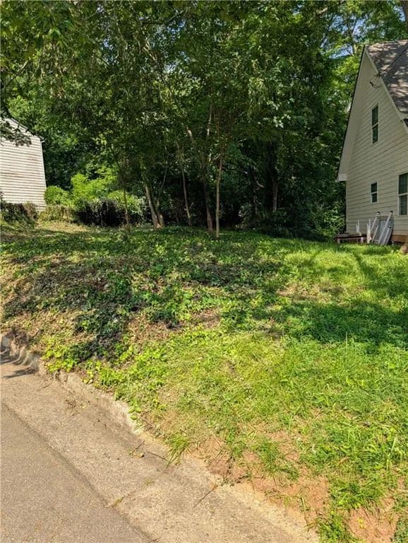 Land -Single Family Acreage in Atlanta - Atlanta, Georgia, 30315