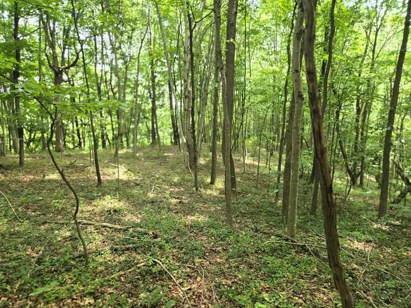 Lots & Land-Other in Portsmouth