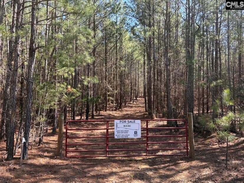 Vacant Land in Pomaria