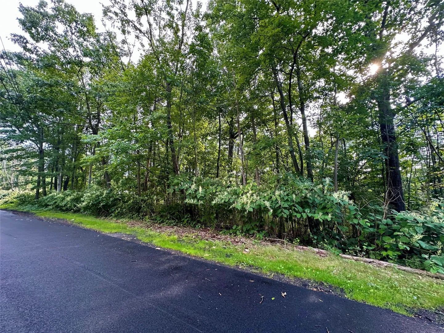 Vacant Land in Binghamton - Binghamton, New York, 13903