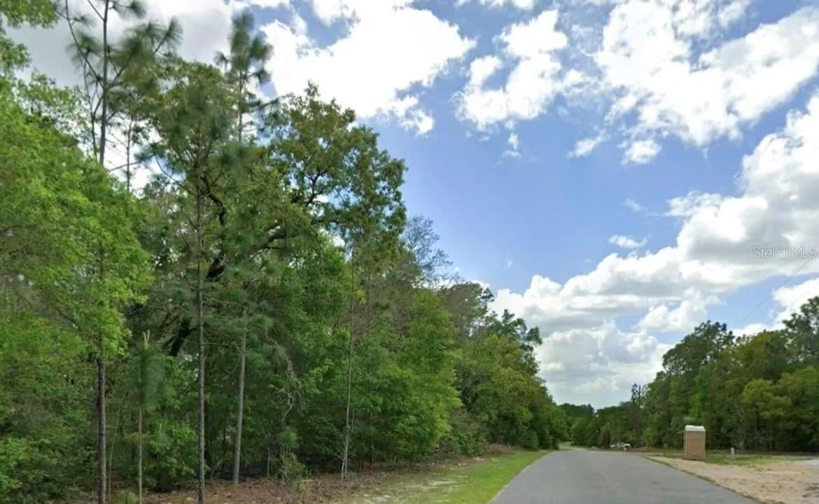 Lots & Land-Other in CITRUS SPRINGS - Citrus Springs, Florida, 34434