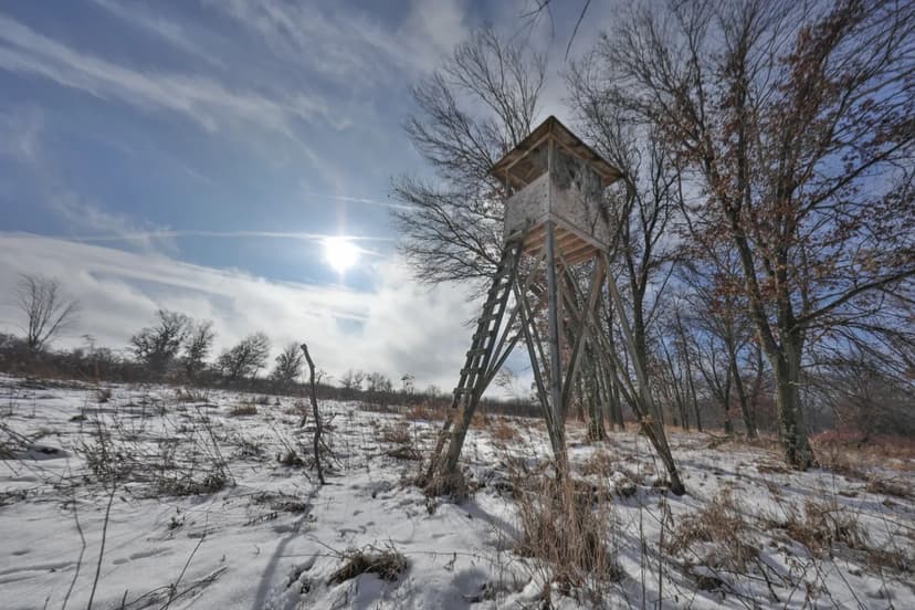 159.54 Acre Adams County property Near Nekoosa, WI