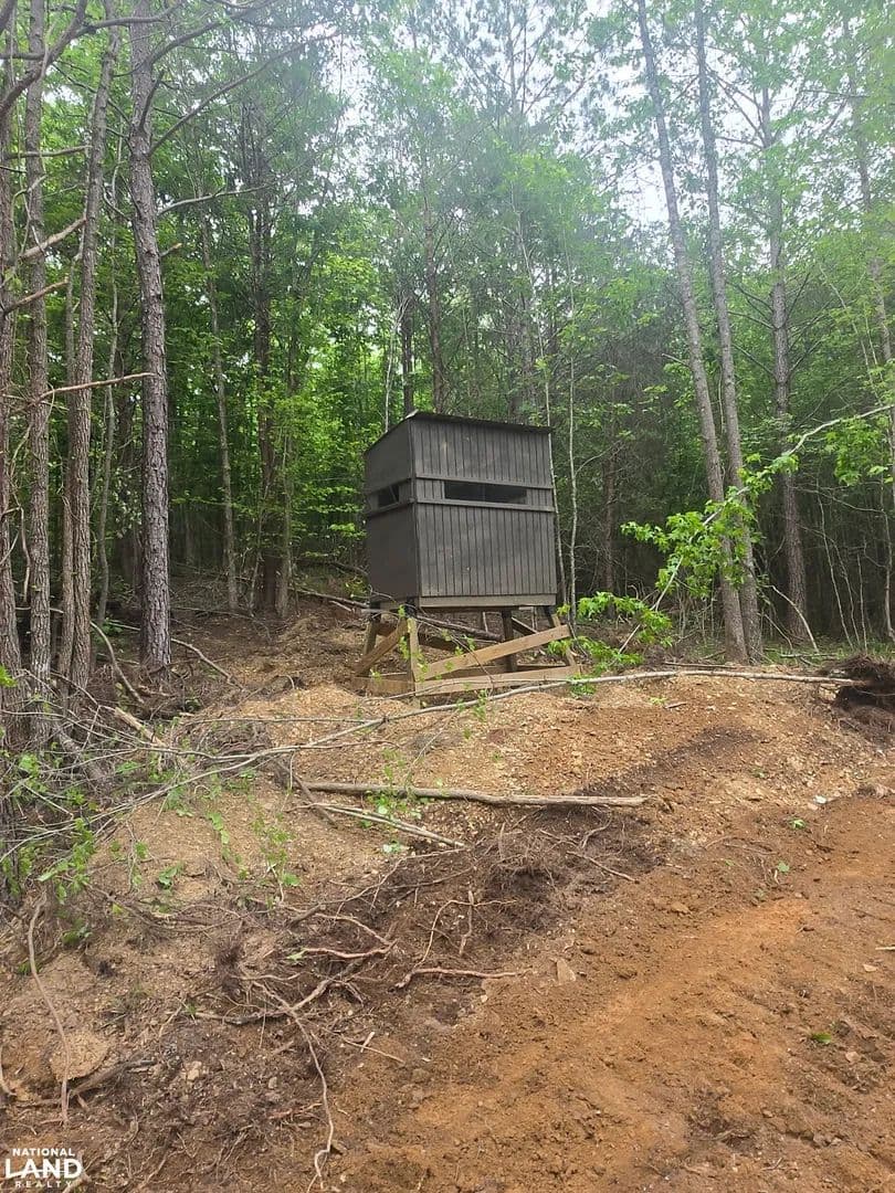 Eldridge Hunting and Timber Investment Tract - Eldridge, Alabama, 35554