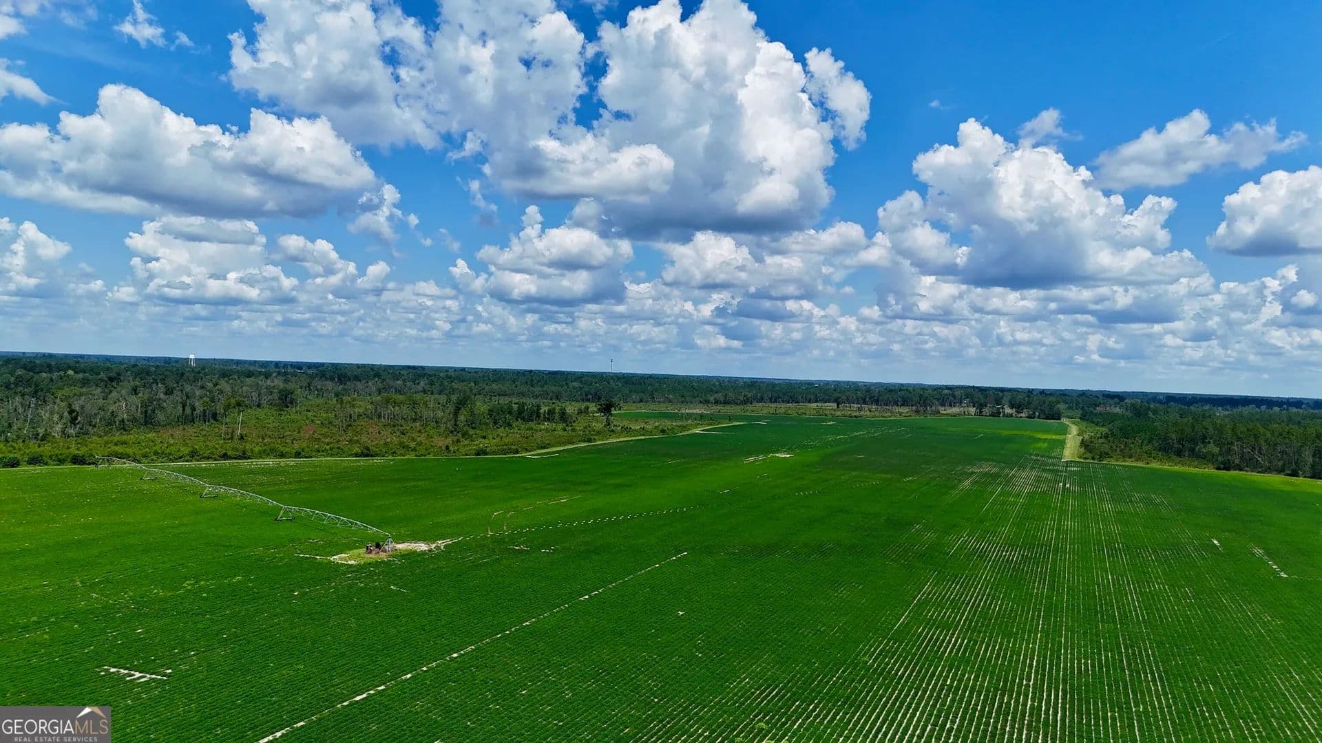 475 Acres of Land for Sale in Alma, GA - Alma, Georgia, 31510