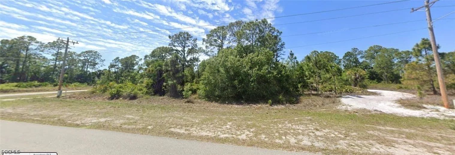 Vacant Land in Lehigh Acres - Lehigh Acres, Florida, 33974
