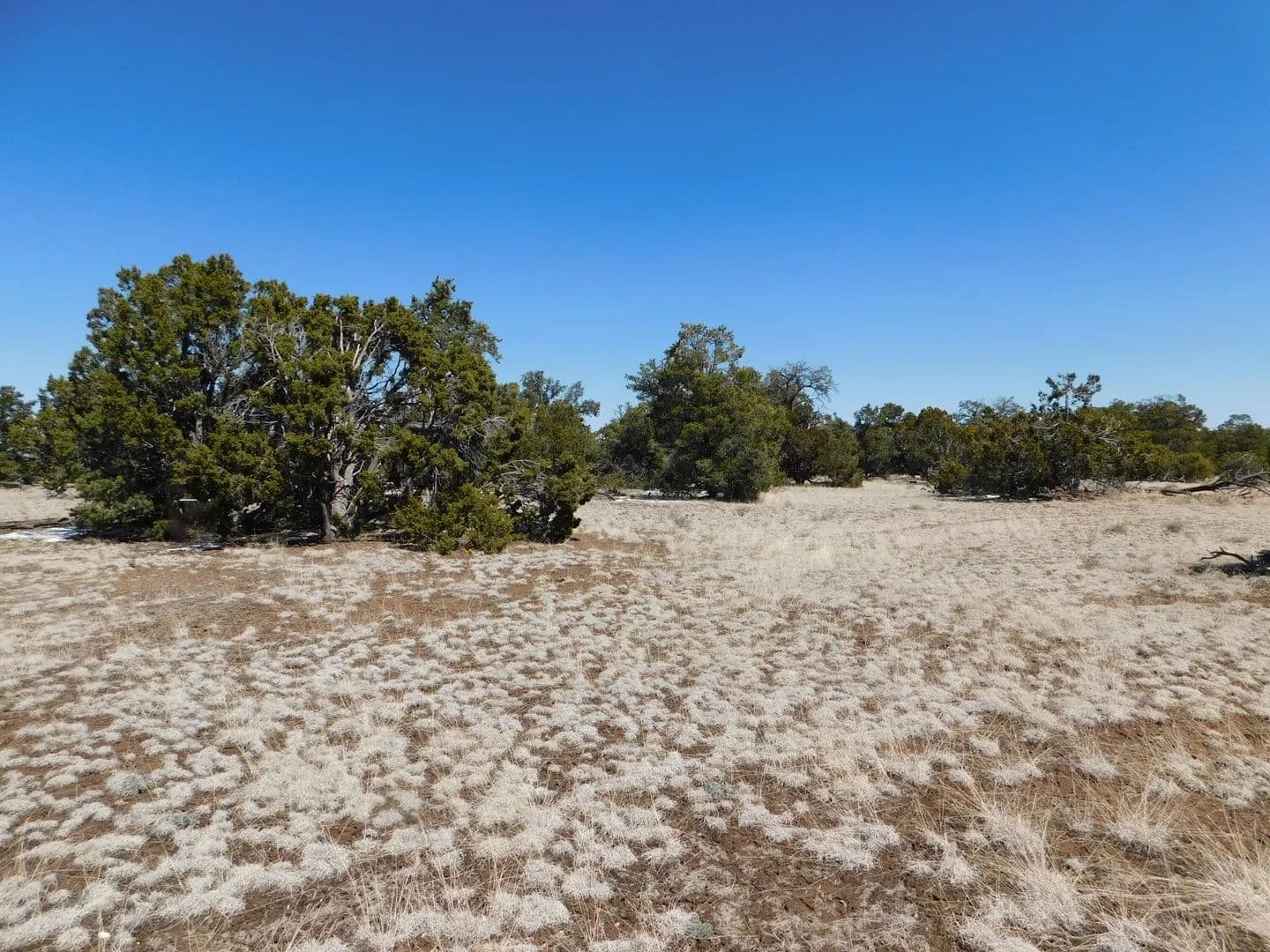 Property from Lot 26 Spring Canyon Cir - KW - Quemado, New Mexico, 87829