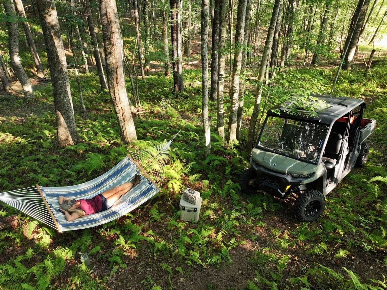 Shady Grove Sanctuary: 44+/- Acres of Ferns, Forest, and Flowing Mountain Water in Floyd County, VA - Willis, Virginia, 24380