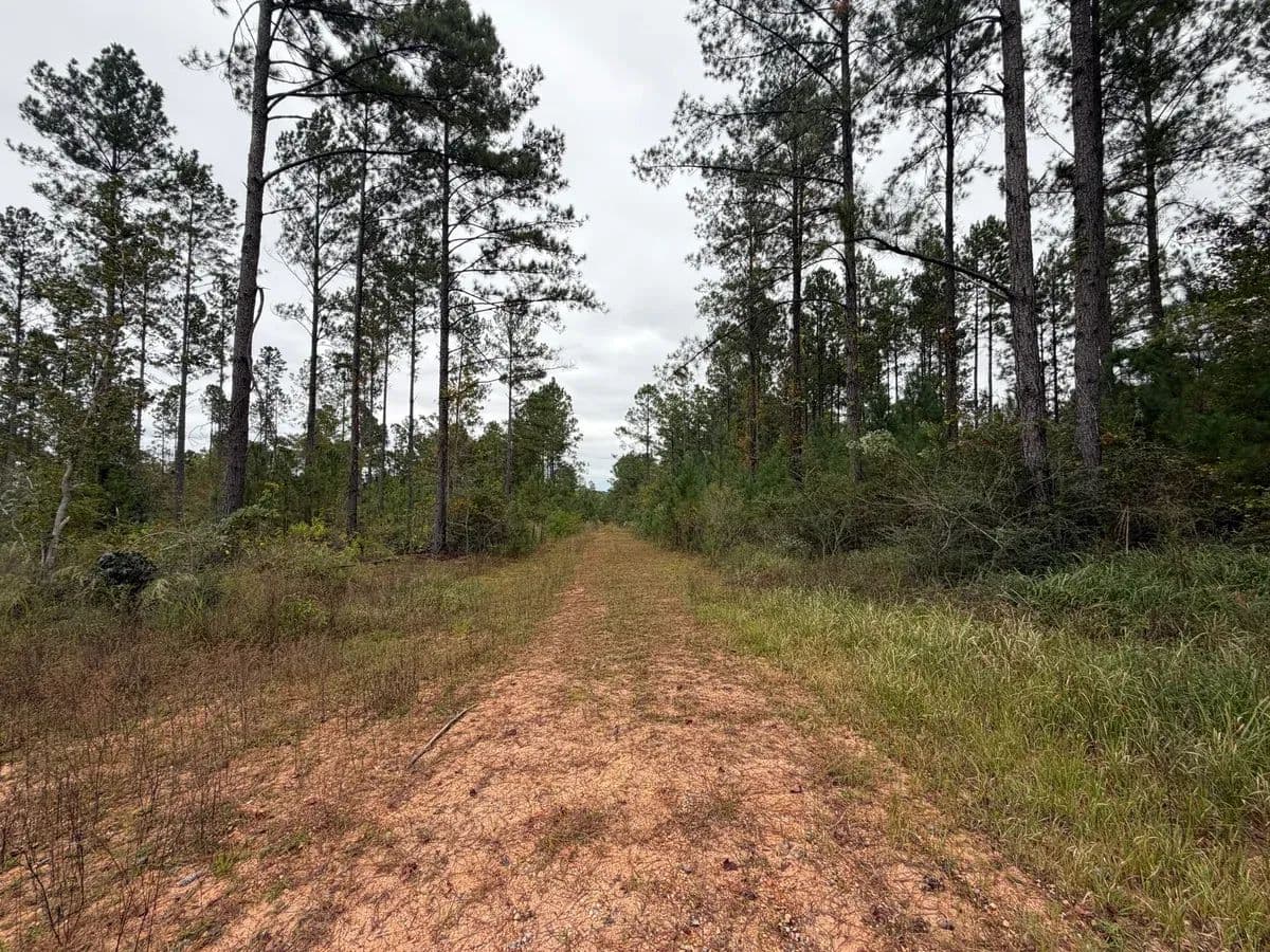 Flomaton Pines - land for sale