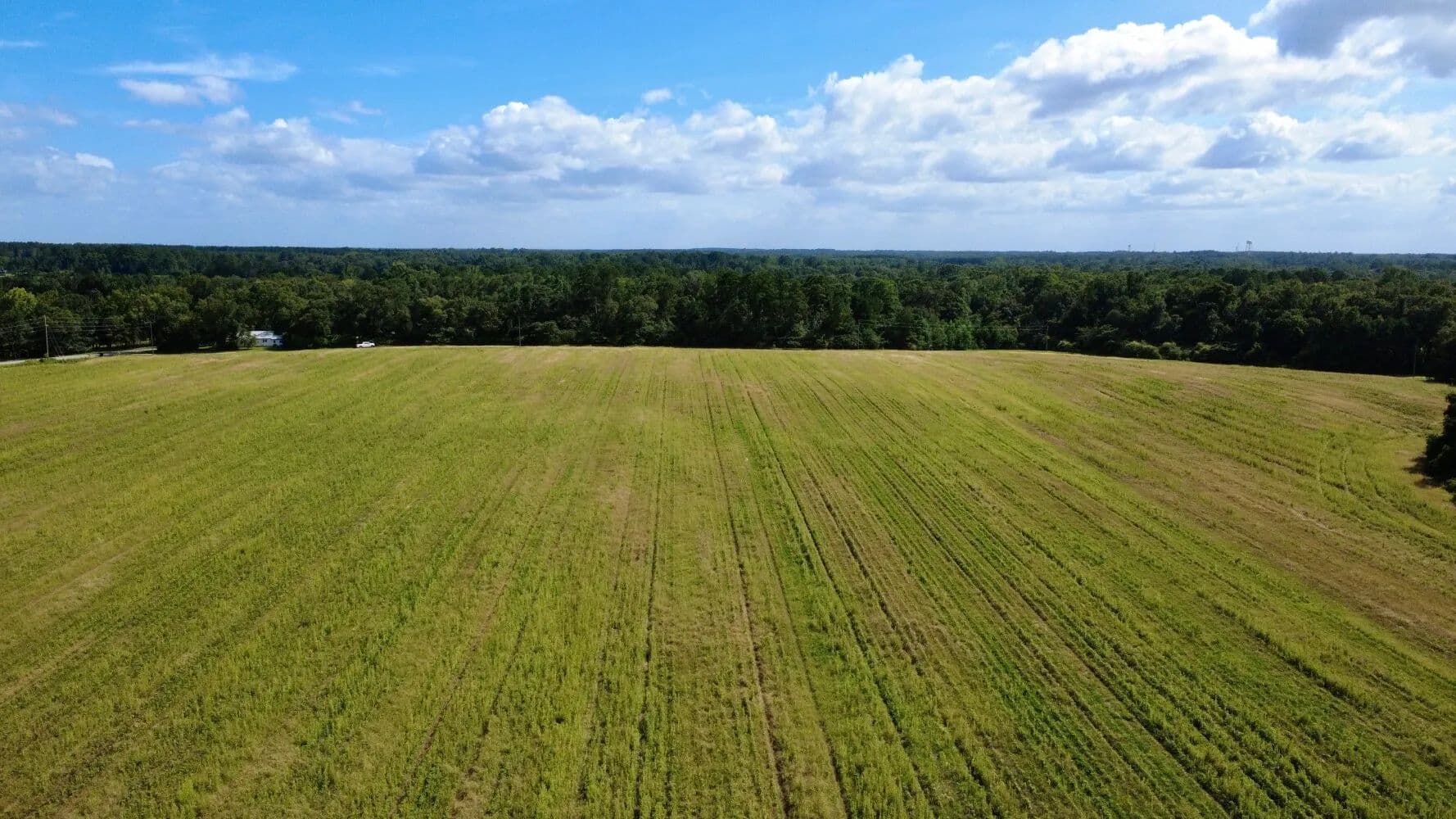 Country Homesite and Mini Farm - Dothan, Alabama, 36301