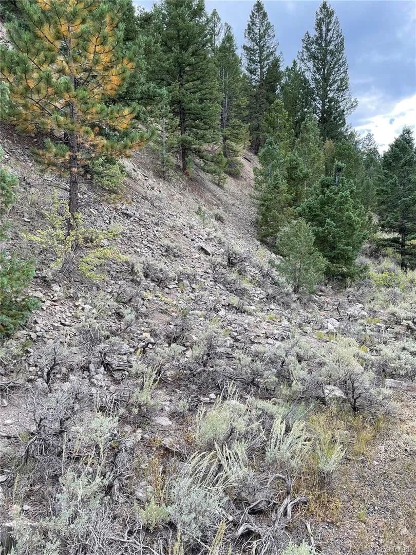 Lots & Land-Other in Salida - Salida, Colorado, 81201