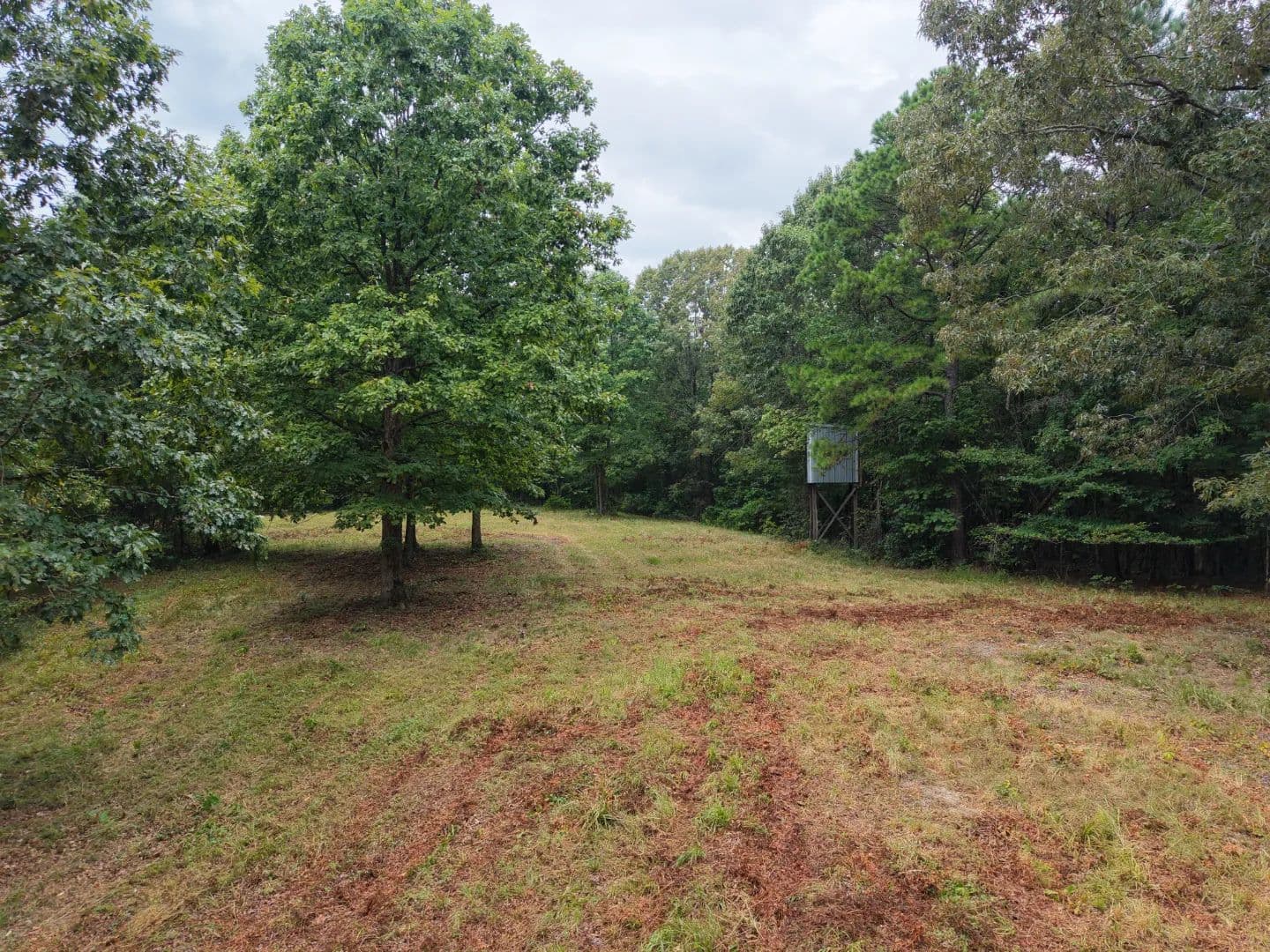 20 Acres in Polk County, AR  - Wickes, Arkansas, 71973