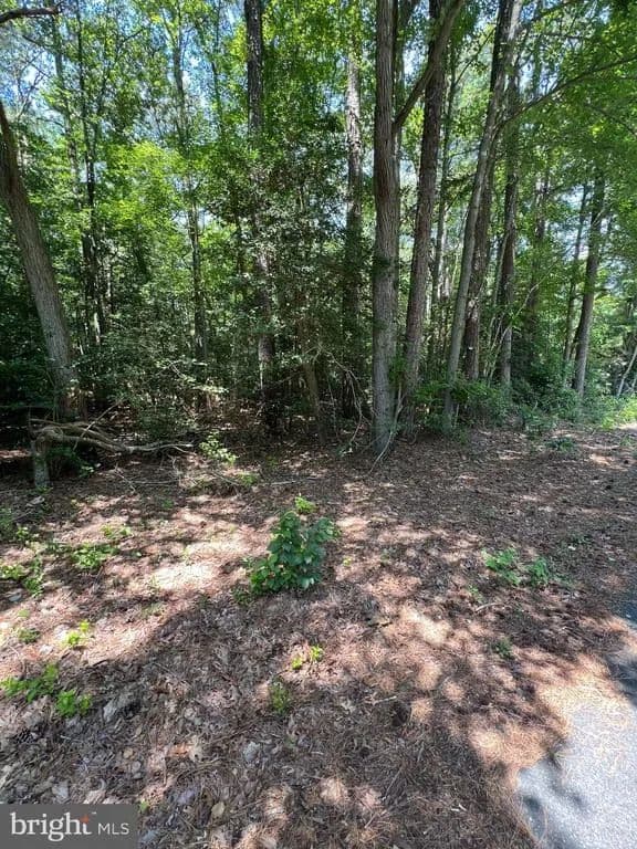 0.57 Acres of Land for Sale in MILTON, DE - Milton, Delaware, 19968
