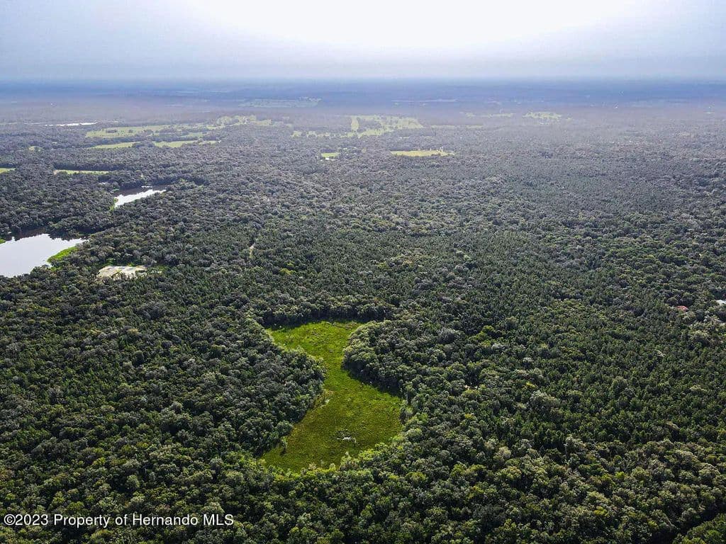 7.8 Acres of Land for Sale in Brooksville, FL in Brooksville, Florida - photo 10