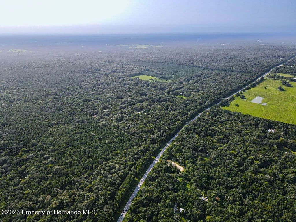 7.8 Acres of Land for Sale in Brooksville, FL in Brooksville, Florida - photo 11