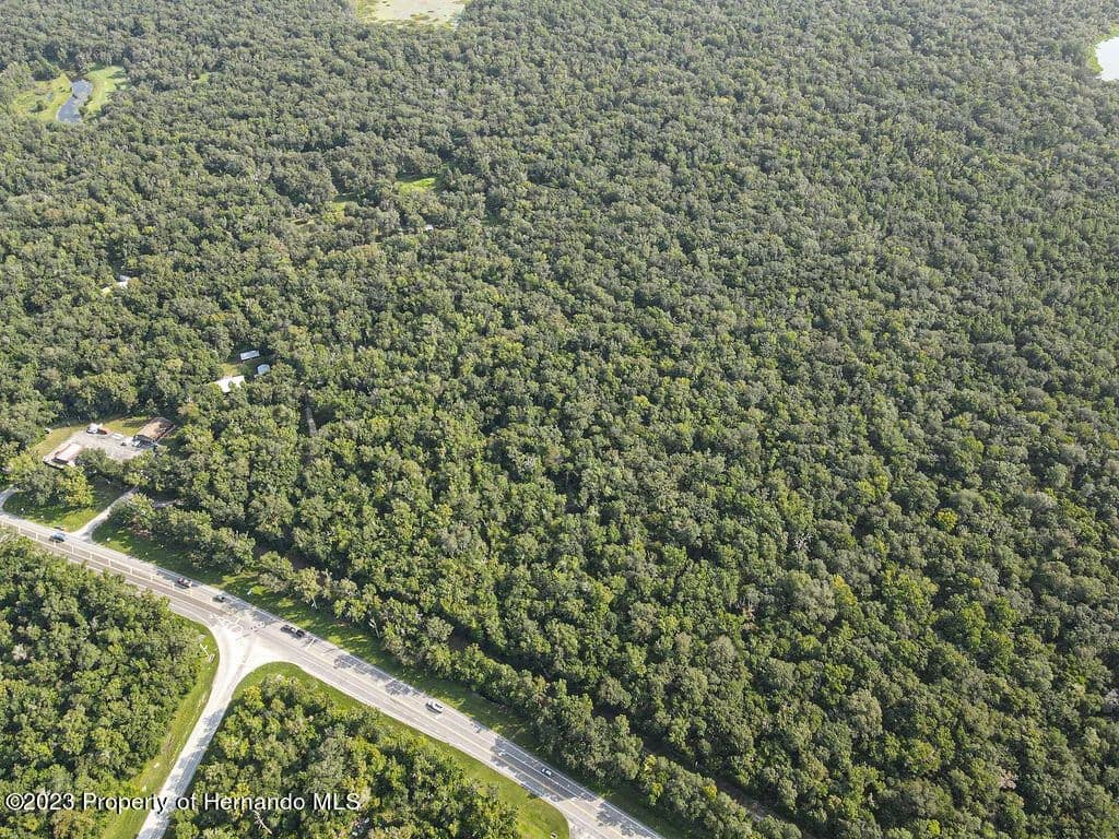 7.8 Acres of Land for Sale in Brooksville, FL in Brooksville, Florida - photo 17