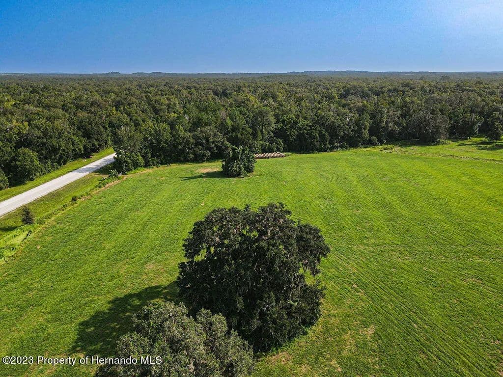 7.8 Acres of Land for Sale in Brooksville, FL in Brooksville, Florida - photo 22