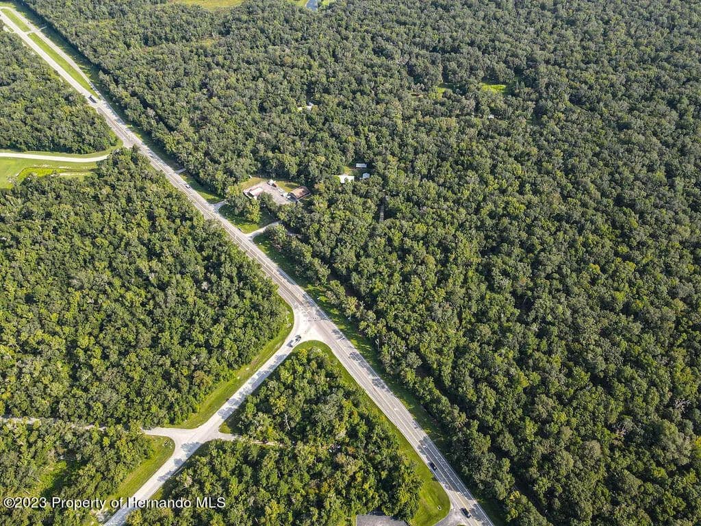 7.8 Acres of Land for Sale in Brooksville, FL in Brooksville, Florida - photo 7