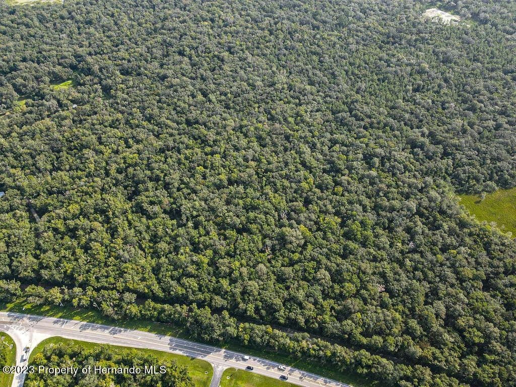 7.8 Acres of Land for Sale in Brooksville, FL in Brooksville, Florida - photo 8