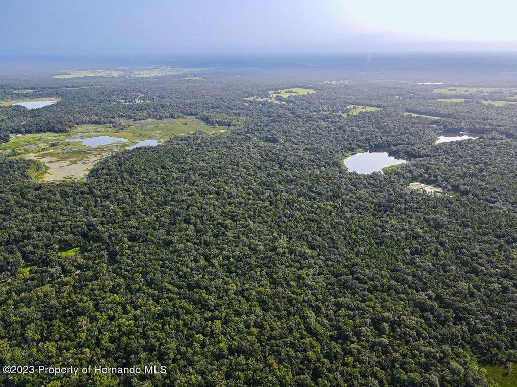 7.8 Acres of Land for Sale in Brooksville, FL in Brooksville, Florida - photo 9