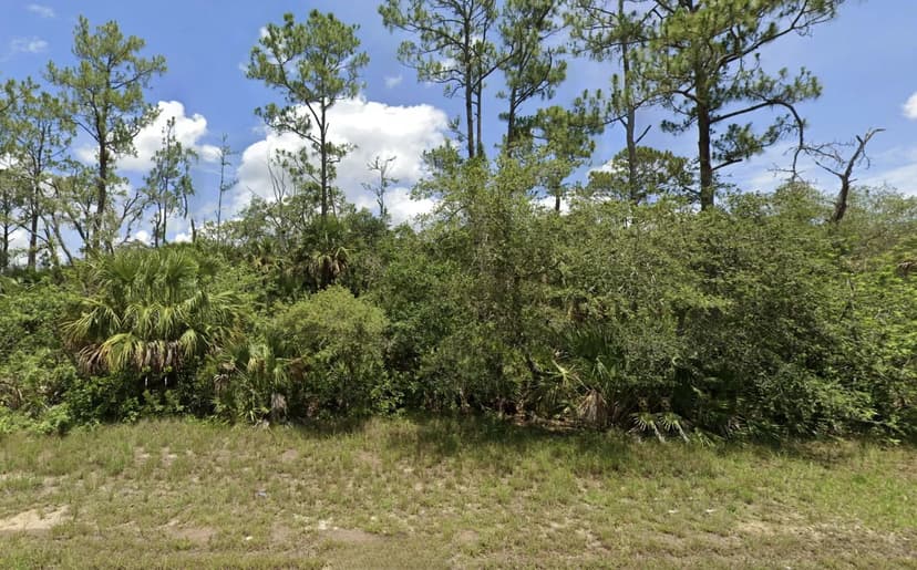 3.83 Acres of Natural Florida Preserve Land – Lehigh Acres